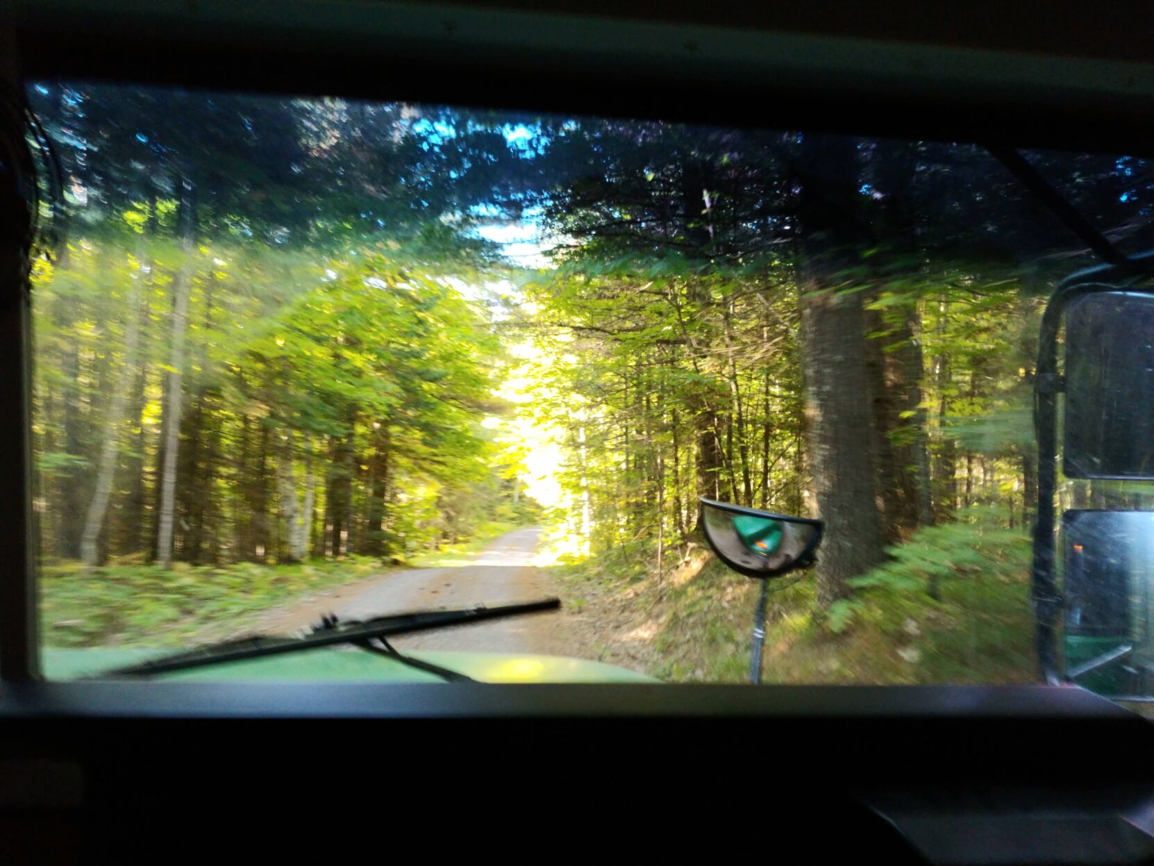 ForestRoad.jpeg